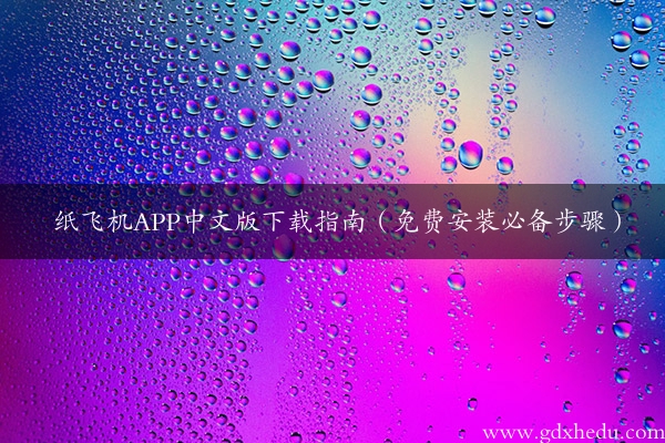 纸飞机APP中文版下载指南（免费安装必备步骤）