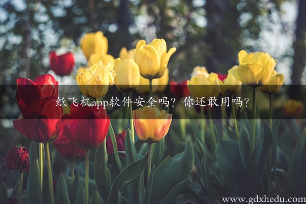 纸飞机app软件安全吗？你还敢用吗？