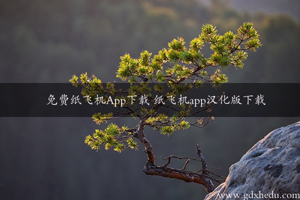 免费纸飞机App下载 纸飞机app汉化版下载