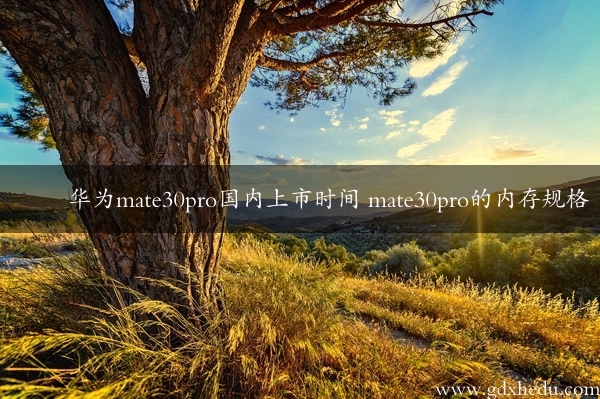 华为mate30pro国内上市时间 mate30pro的内存规格