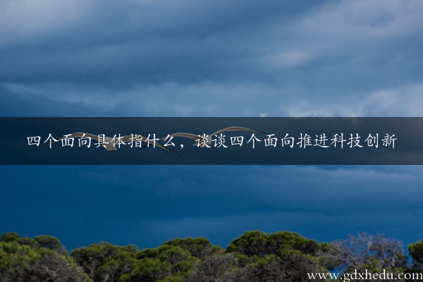 四个面向具体指什么，谈谈四个面向推进科技创新