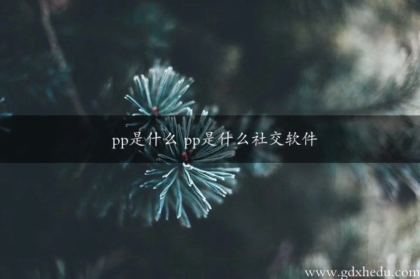 pp是什么 pp是什么社交软件