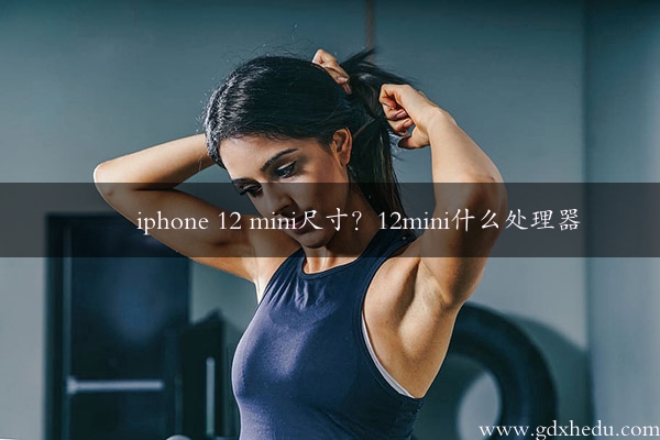 iphone 12 mini尺寸？12mini什么处理器