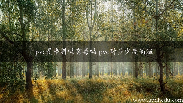 pvc是塑料吗有毒吗 pvc耐多少度高温