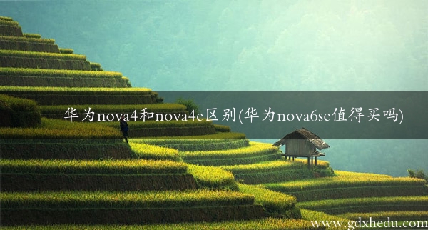 华为nova4和nova4e区别(华为nova6se值得买吗)