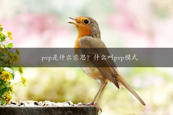 pvp是什么意思？什么叫pvp模式