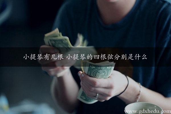 小提琴有几根 小提琴的四根弦分别是什么