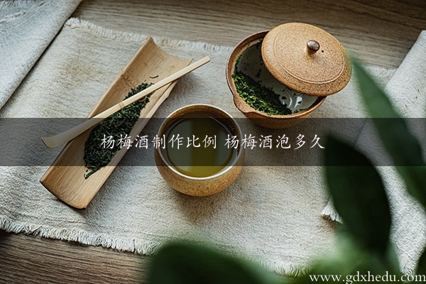 杨梅酒制作比例 杨梅酒泡多久