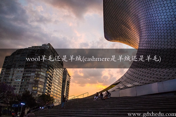 wool羊毛还是羊绒(cashmere是羊绒还是羊毛)