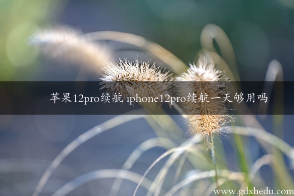 苹果12pro续航 iphone12pro续航一天够用吗