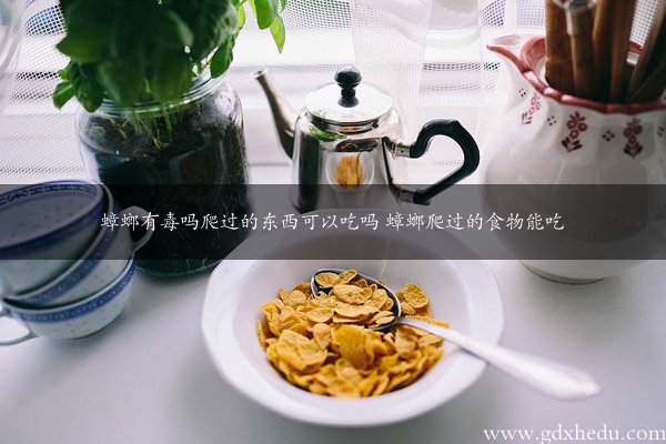 蟑螂有毒吗爬过的东西可以吃吗 蟑螂爬过的食物能吃