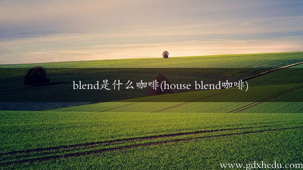 blend是什么咖啡(house blend咖啡)