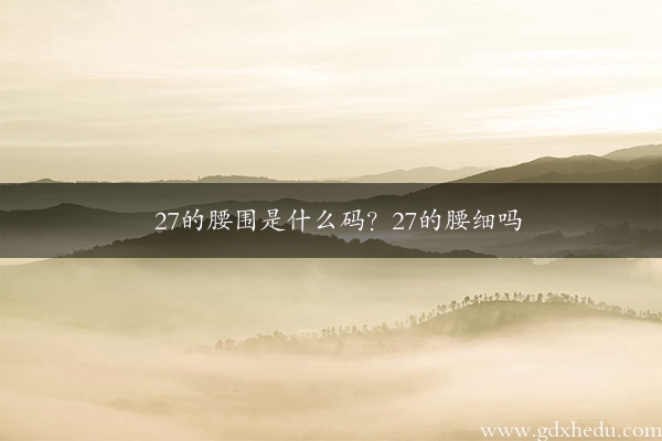 27的腰围是什么码？27的腰细吗