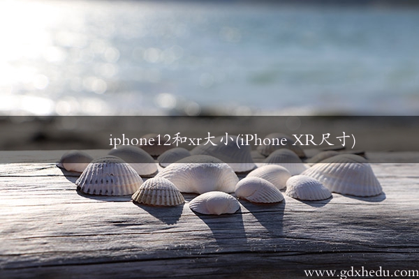 iphone12和xr大小(iPhone XR尺寸)