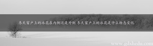 冬天窗户上的冰花在内侧还是外侧 冬天窗户上的冰花是什么物态变化