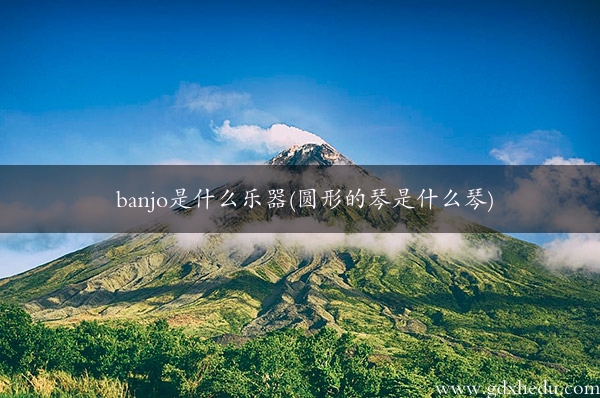 banjo是什么乐器(圆形的琴是什么琴)