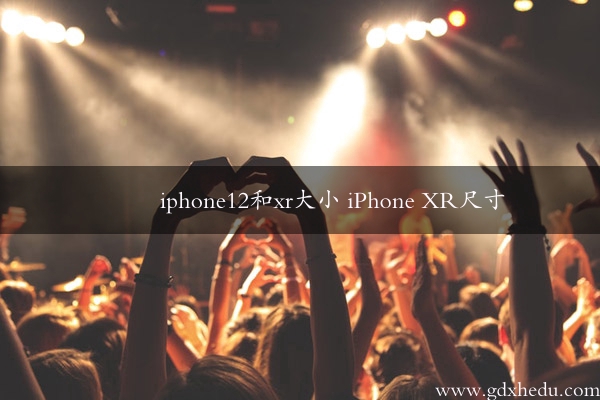 iphone12和xr大小 iPhone XR尺寸