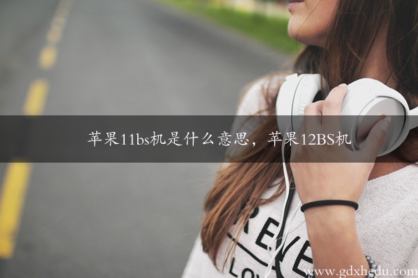 苹果11bs机是什么意思，苹果12BS机