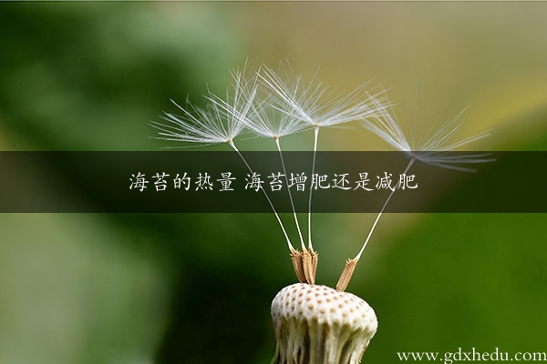 海苔的热量 海苔增肥还是减肥