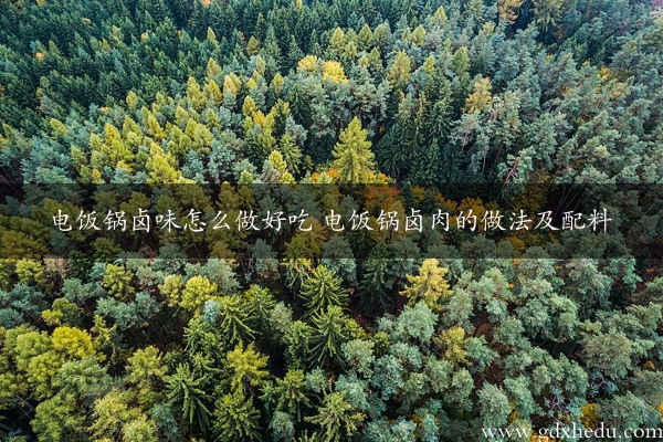 电饭锅卤味怎么做好吃 电饭锅卤肉的做法及配料