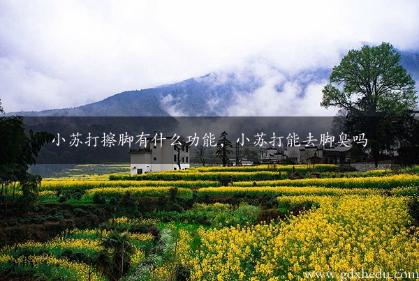 小苏打擦脚有什么功能，小苏打能去脚臭吗