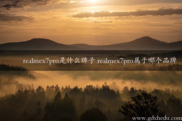 realmex7pro是什么牌子 realmex7pro属于哪个品牌