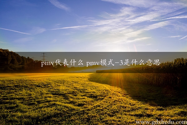 pmv代表什么 pmv模式-3是什么意思