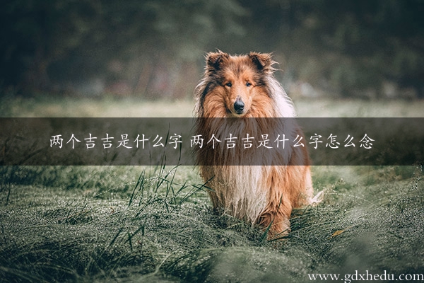 两个吉吉是什么字 两个吉吉是什么字怎么念