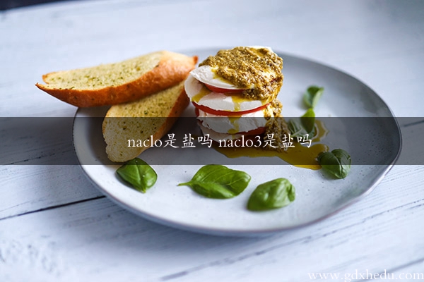 naclo是盐吗 naclo3是盐吗