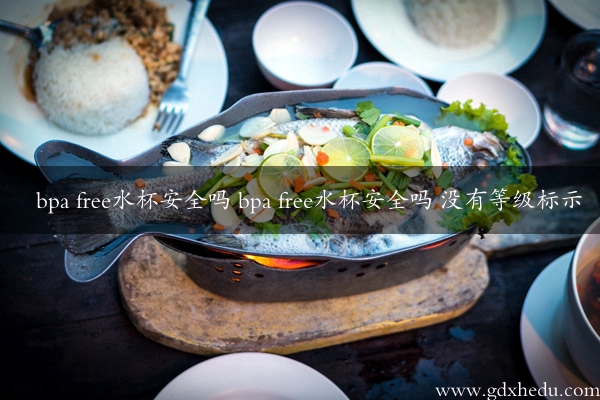 bpa free水杯安全吗 bpa free水杯安全吗 没有等级标示