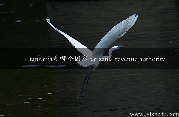 tanzania是哪个国家 tanzania revenue authority