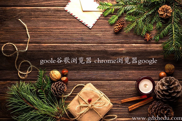 goole谷歌浏览器 chrome浏览器google