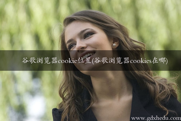 谷歌浏览器cookie位置(谷歌浏览器cookies在哪)