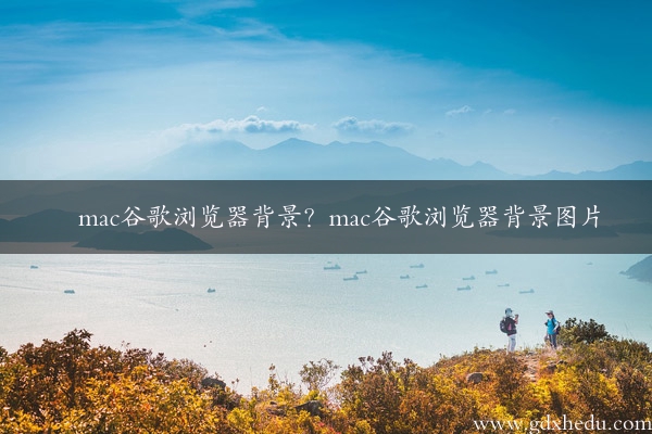 mac谷歌浏览器背景？mac谷歌浏览器背景图片