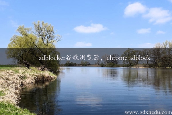 adblocker谷歌浏览器，chrome adblock