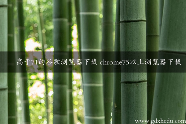 高于71的谷歌浏览器下载 chrome75以上浏览器下载