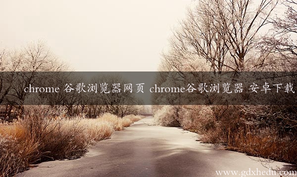 chrome 谷歌浏览器网页 chrome谷歌浏览器 安卓下载