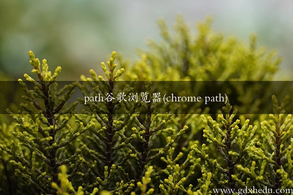 path谷歌浏览器(chrome path)