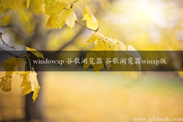 windowxp 谷歌浏览器 谷歌浏览器winxp版