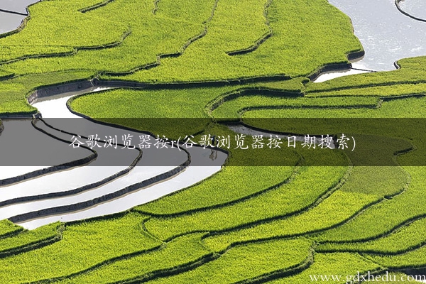 谷歌浏览器按r(谷歌浏览器按日期搜索)