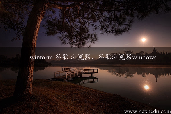 winform 谷歌 浏览器，谷歌浏览器windows