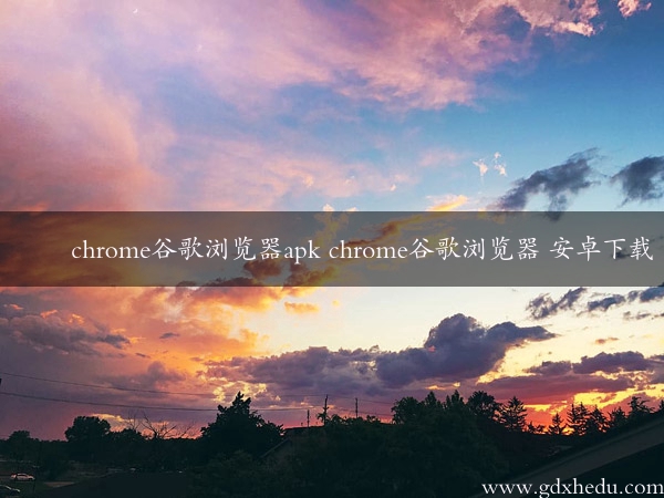 chrome谷歌浏览器apk chrome谷歌浏览器 安卓下载