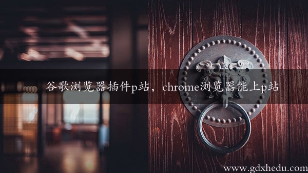 谷歌浏览器插件p站，chrome浏览器能上p站