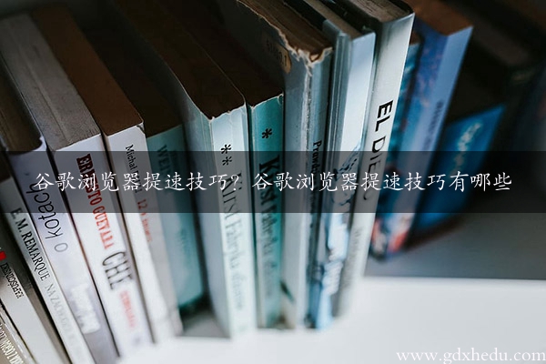 谷歌浏览器提速技巧？谷歌浏览器提速技巧有哪些