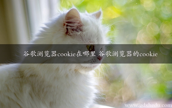 谷歌浏览器cookie在哪里 谷歌浏览器的cookie