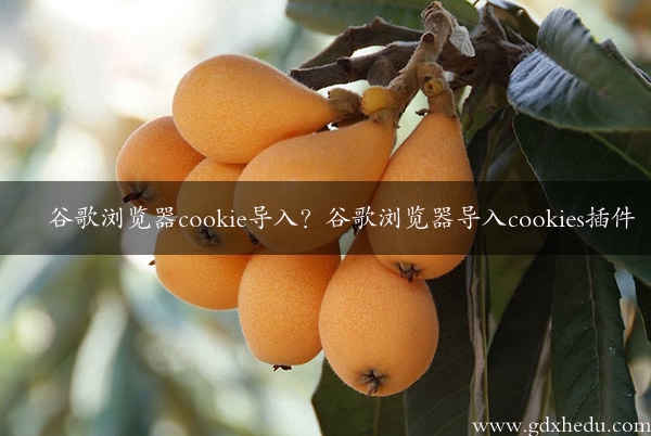 谷歌浏览器cookie导入？谷歌浏览器导入cookies插件