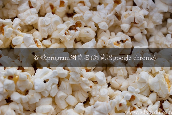 谷歌program浏览器(浏览器google chrome)