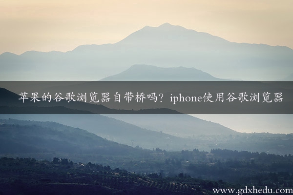 苹果的谷歌浏览器自带桥吗？iphone使用谷歌浏览器