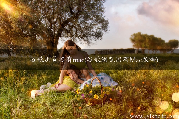 谷歌浏览器有mac(谷歌浏览器有Mac版吗)