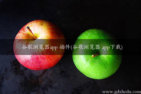 谷歌浏览器app 插件(谷歌浏览器 app下载)